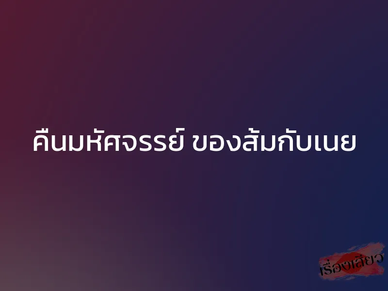 คืนมหัศจรรย์ ของส้มกับเนย