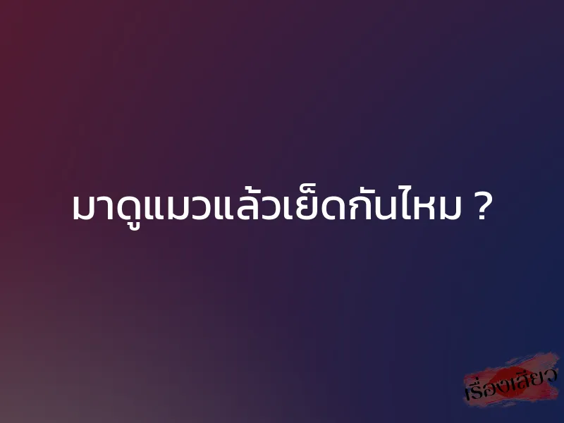 มาดูแมวแล้วเย็ดกันไหม ?