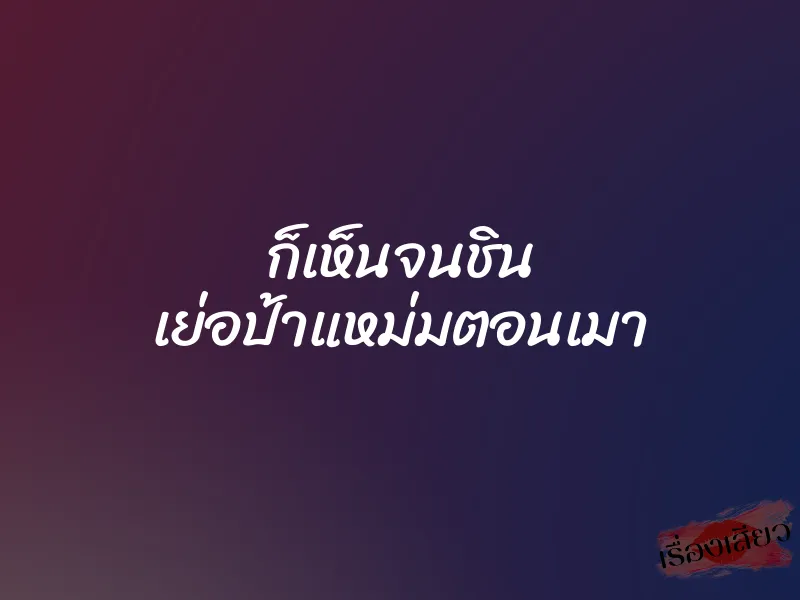 ก็เห็นจนชิน เย่อป้าแหม่มตอนเมา