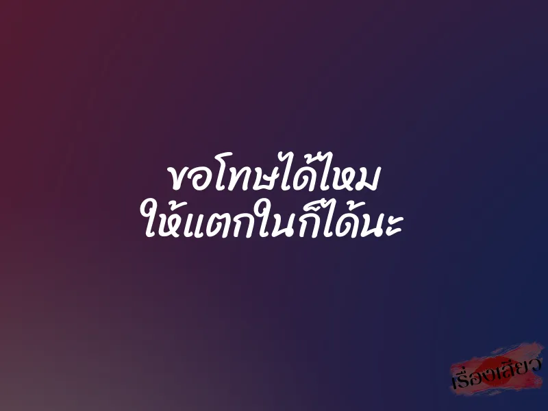 ขอโทษได้ไหม ให้แตกในก็ได้นะ