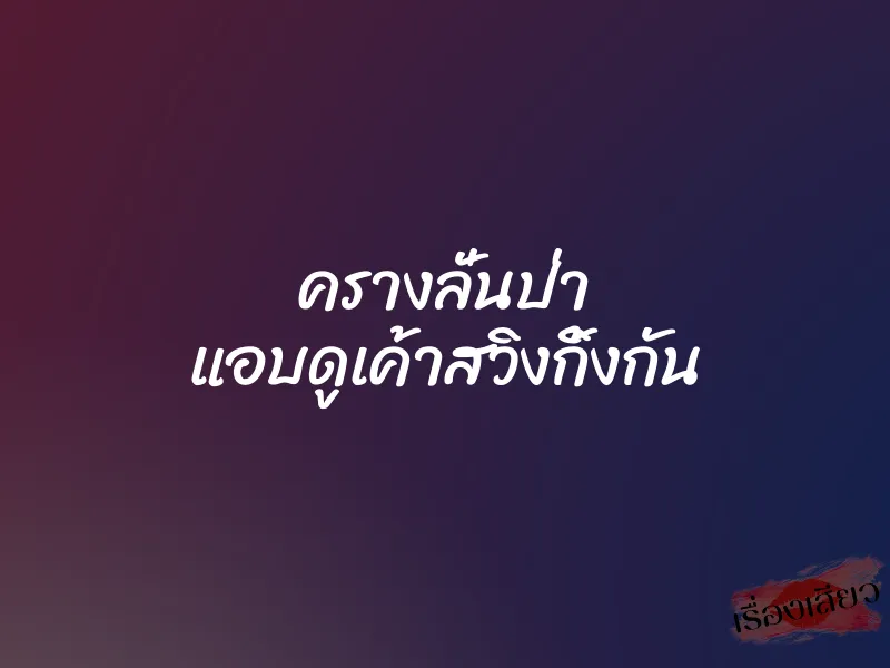 ครางลั่นป่า แอบดูเค้าสวิงกิ้งกัน