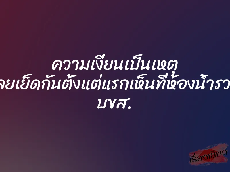 ความเงี่ยนเป็นเหตุ เลยเย็ดกันตั้งแต่แรกเห็นที่ห้องน้ำรวม บขส.