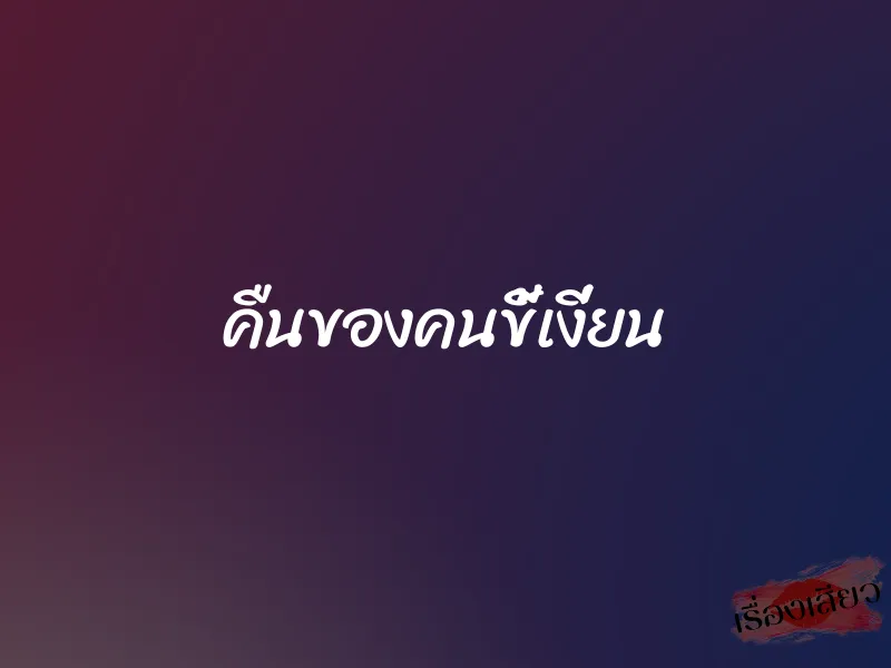 คืนของคนขี้เงี่ยน