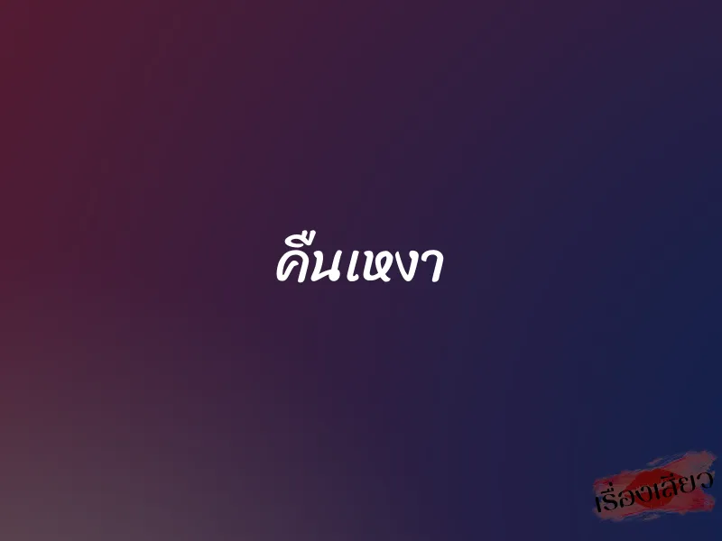 คืนเหงา