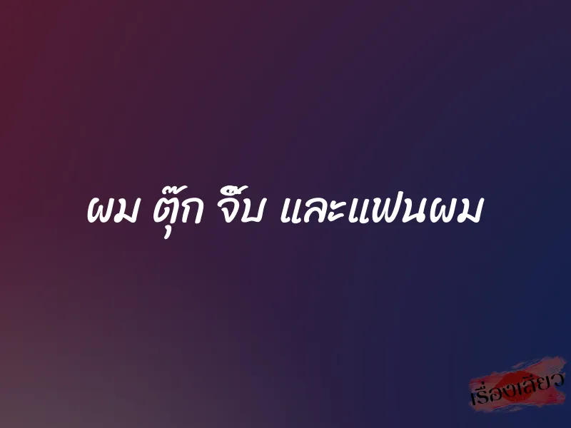 ผม ตุ๊ก จิ๊บ และแฟนผม