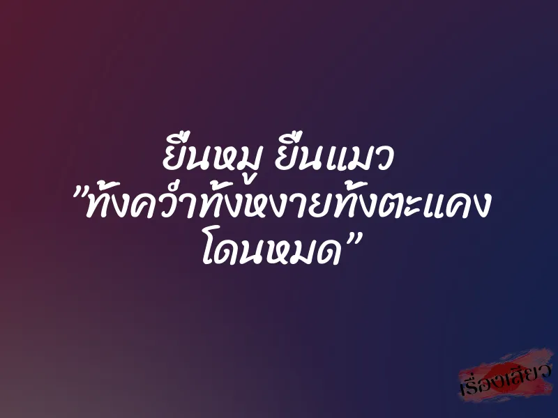 ยื่นหมู ยื่นแมว ”ทั้งคว่ำทั้งหงายทั้งตะแคง โดนหมด”