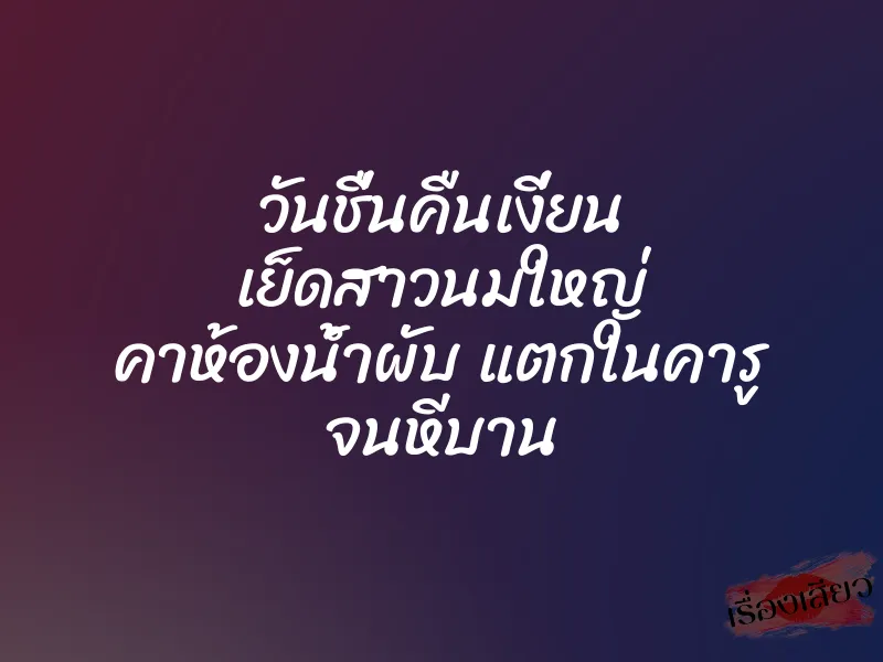 วันชื่นคืนเงี่ยน เย็ดสาวนมใหญ่ คาห้องน้ำผับ แตกในคารู จนหีบาน
