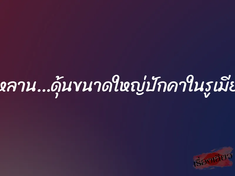 หลาน…ดุ้นขนาดใหญ่ปักคาในรูเมีย