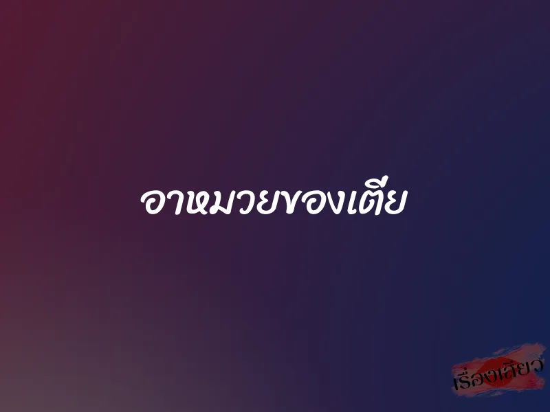 อาหมวยของเตี่ย