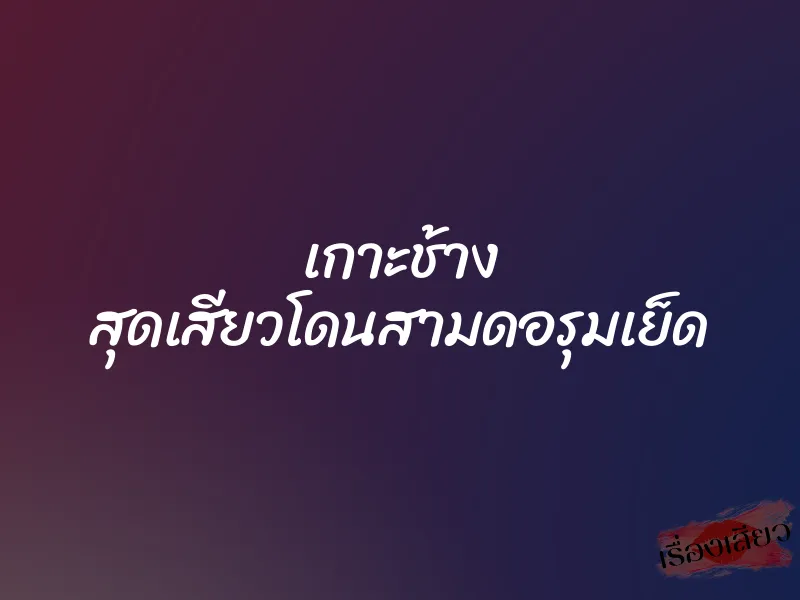เกาะช้าง สุดเสียวโดนสามดอรุมเย็ด