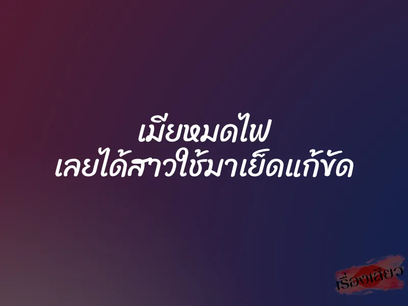 เมียหมดไฟ เลยได้สาวใช้มาเย็ดแก้ขัด