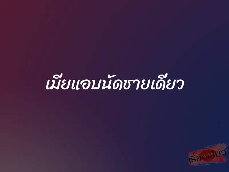 เมียแอบนัดชายเดี่ยว