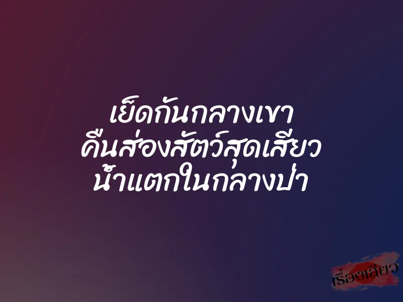 เย็ดกันกลางเขา คืนส่องสัตว์สุดเสียว น้ำแตกในกลางป่า