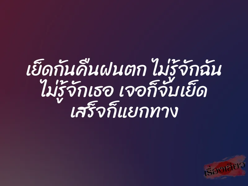 เย็ดกันคืนฝนตก ไม่รู้จักฉัน ไม่รู้จักเธอ เจอก็จับเย็ด เสร็จก็แยกทาง