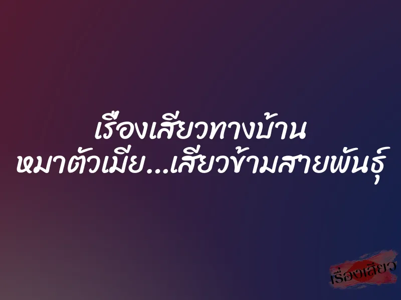 เรื่องเสียวทางบ้าน หมาตัวเมีย…เสียวข้ามสายพันธุ์