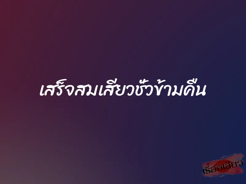 เสร็จสมเสียวชั่วข้ามคืน