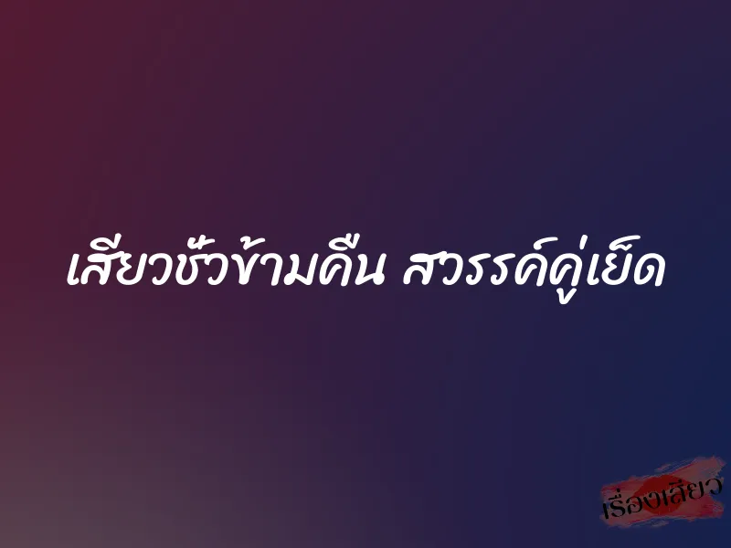 เสียวชั่วข้ามคืน สวรรค์คู่เย็ด