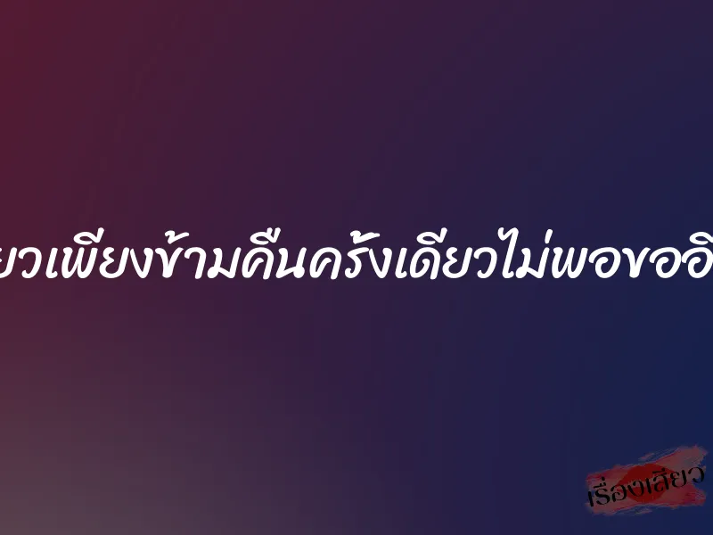 เสียวเพียงข้ามคืนครั้งเดียวไม่พอขออีกที