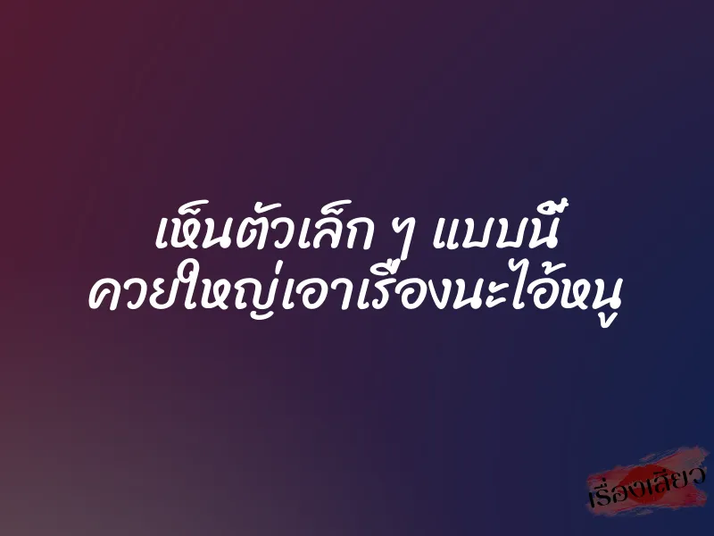 เห็นตัวเล็ก ๆ แบบนี้ ควยใหญ่เอาเรื่องนะไอ้หนู
