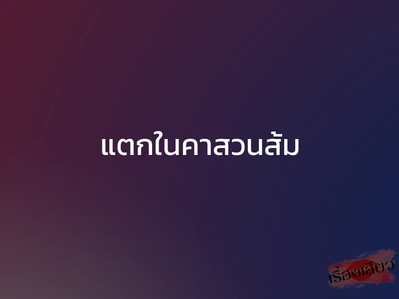 แตกในคาสวนส้ม