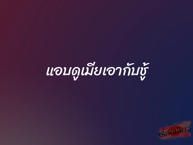 แอบดูเมียเอากับชู้