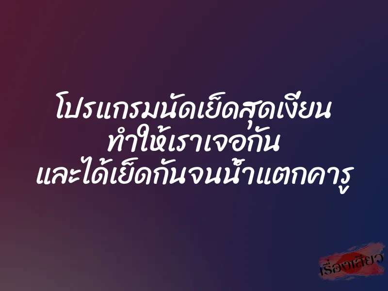 โปรแกรมนัดเย็ดสุดเงี่ยน ทำให้เราเจอกัน และได้เย็ดกันจนน้ำแตกคารู