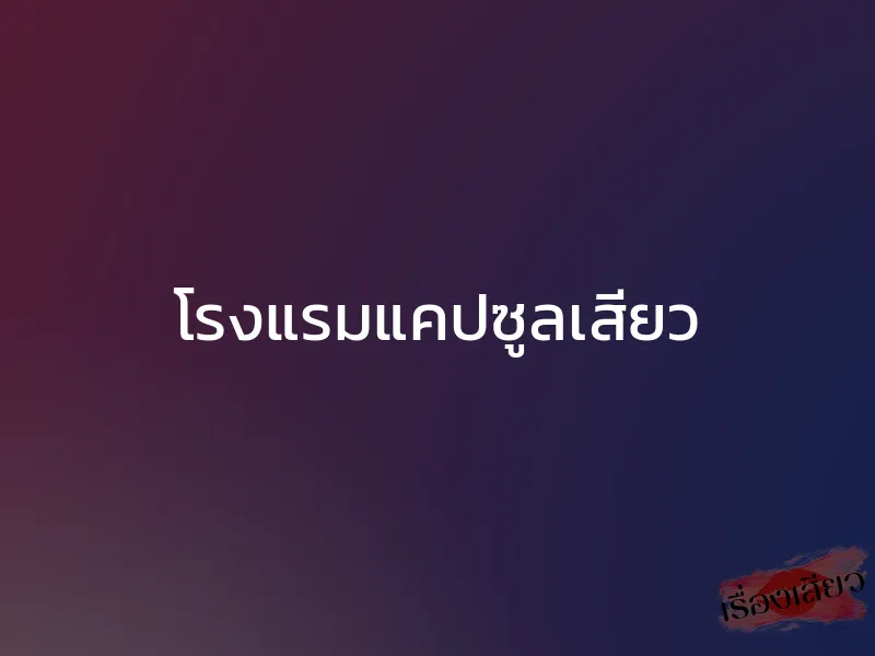 โรงแรมแคปซูลเสียว