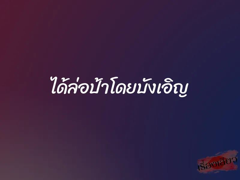 ได้ล่อป้าโดยบังเอิญ